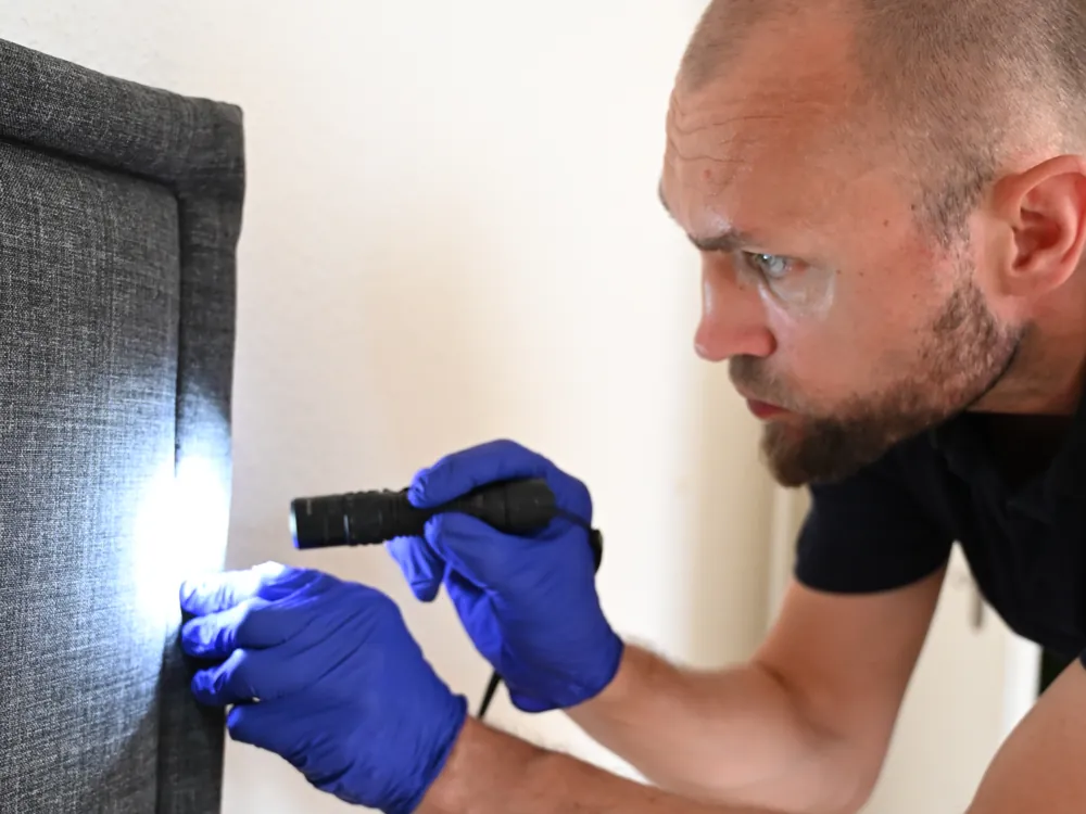 Schädlingsbekämpfer kontrolliert in einer Wohnung ein Bettgestell mit der Taschenlampe